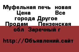 Муфельная печь (новая)  › Цена ­ 58 300 - Все города Другое » Продам   . Пензенская обл.,Заречный г.